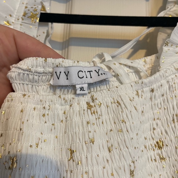 NWT Ivy City Co Midsummer Nights Dress XL - Picture 3 of 5